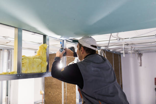 Best Crawl Space Insulation  in Castle Point, MO