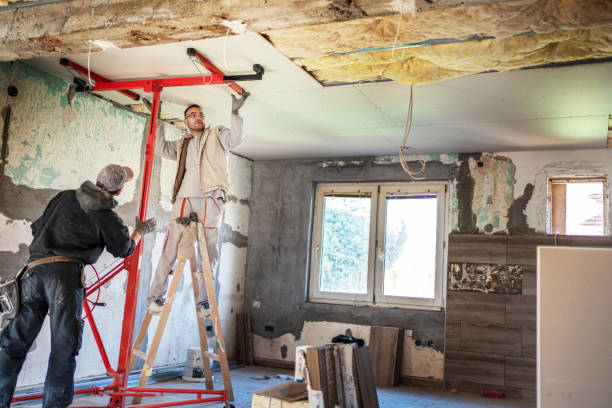 Best Insulation Repair Services  in Castle Point, MO