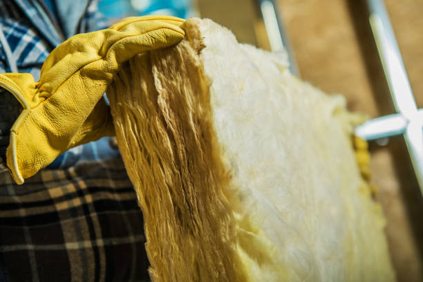 Best Garage Insulation Installation  in Castle Point, MO