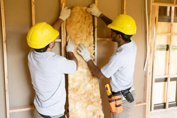 Insulation Replacement Services in Castle Point, MO